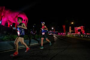 BIB: 
                            <button type="button" onclick="openModal(26552543)" class="btn btn-primary btn-sm float-right btn-popup" data-toggle="modal" data-target=".modal-high-quality">
                        <i class="fas fa-shopping-cart"></i> Add to Cart
                    </button>
                                            <button type="button" onclick="isThisMe(26552543, true)" class="btn btn-success btn-sm float-right btn-popup btn-isme hidden" data-toggle="tooltip" data-placement="bottom" title="นี่คือรูปของคุณใช่ไหม คลิกที่นี่เพื่อเอาเข้าอัลบั้ม">
                        <i class="fas fa-plus"></i> Add to album
                    </button>
                    <button type="button" onclick="isThisMe(26552543, false)" class="btn btn-warning btn-sm float-right btn-popup btn-isnotme hidden">
                        <i class="fas fa-ban"></i> Remove from album
                    </button>